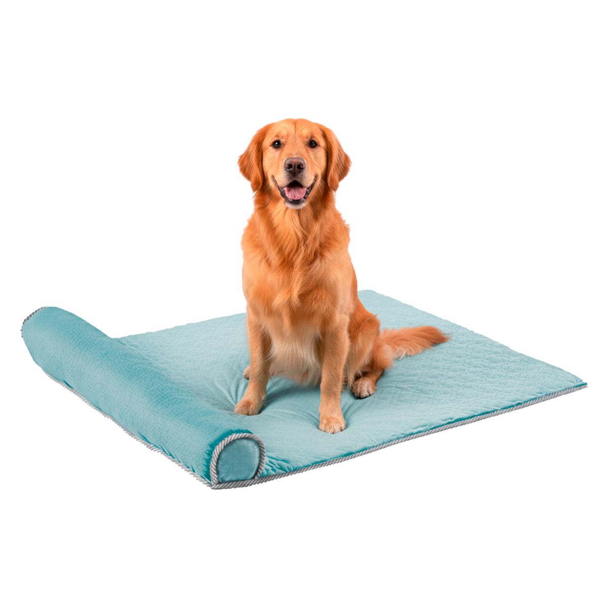 Cama Tapete Colchonete Refrescante Cães Gatos Grande  - Azul — foto 4