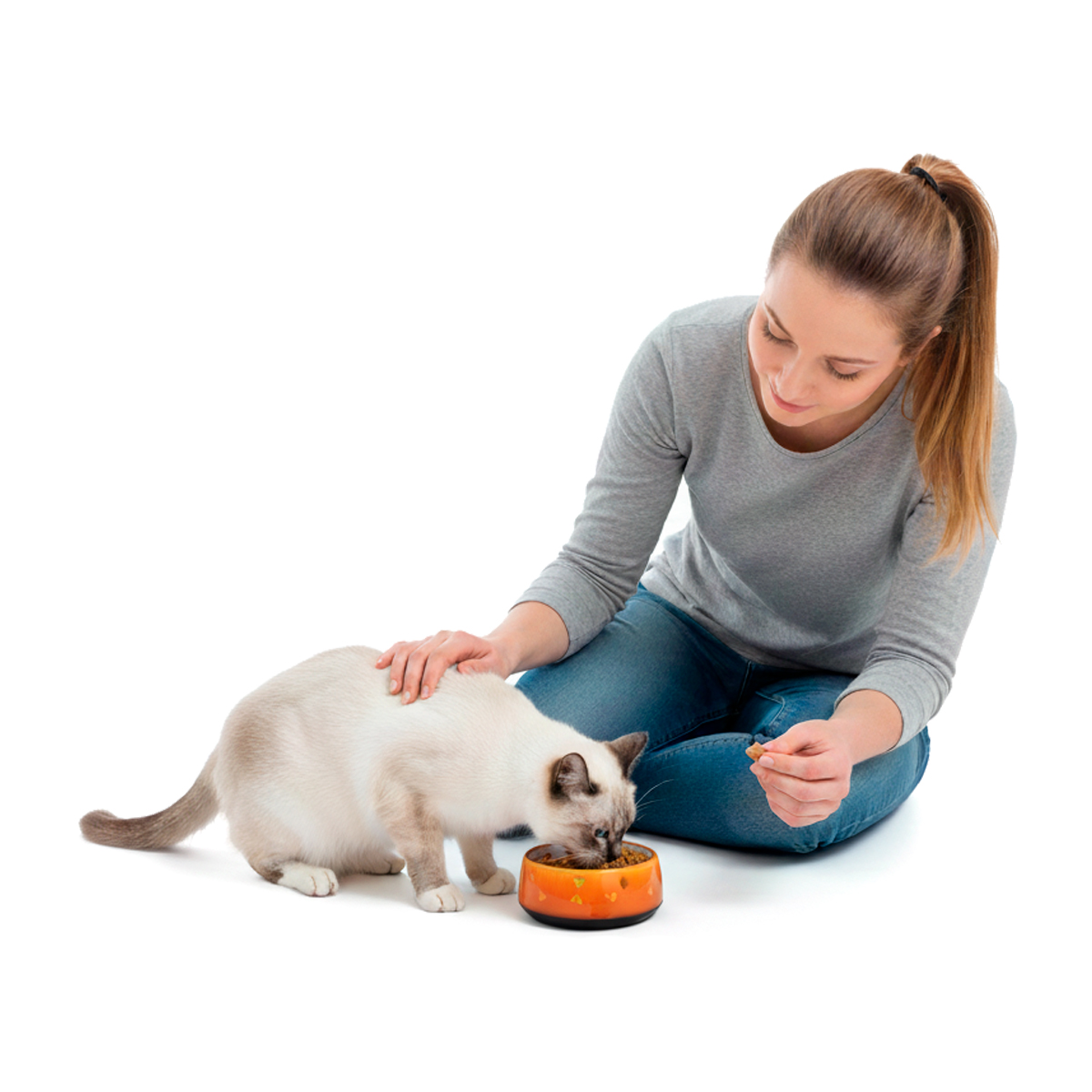 Tigela de Alimentação Comedouro Pet  Acrílico - M 550ml - LARANJA — foto 6