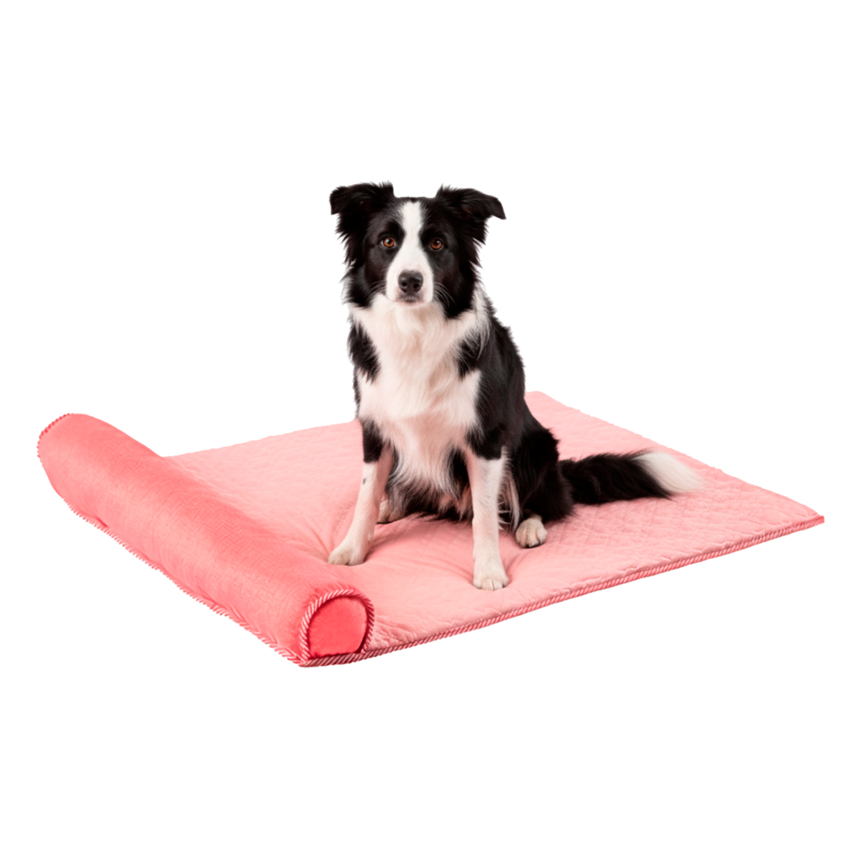 Cama Tapete Colchonete Refrescante Cães Gatos Grande  - Rosa — foto 2