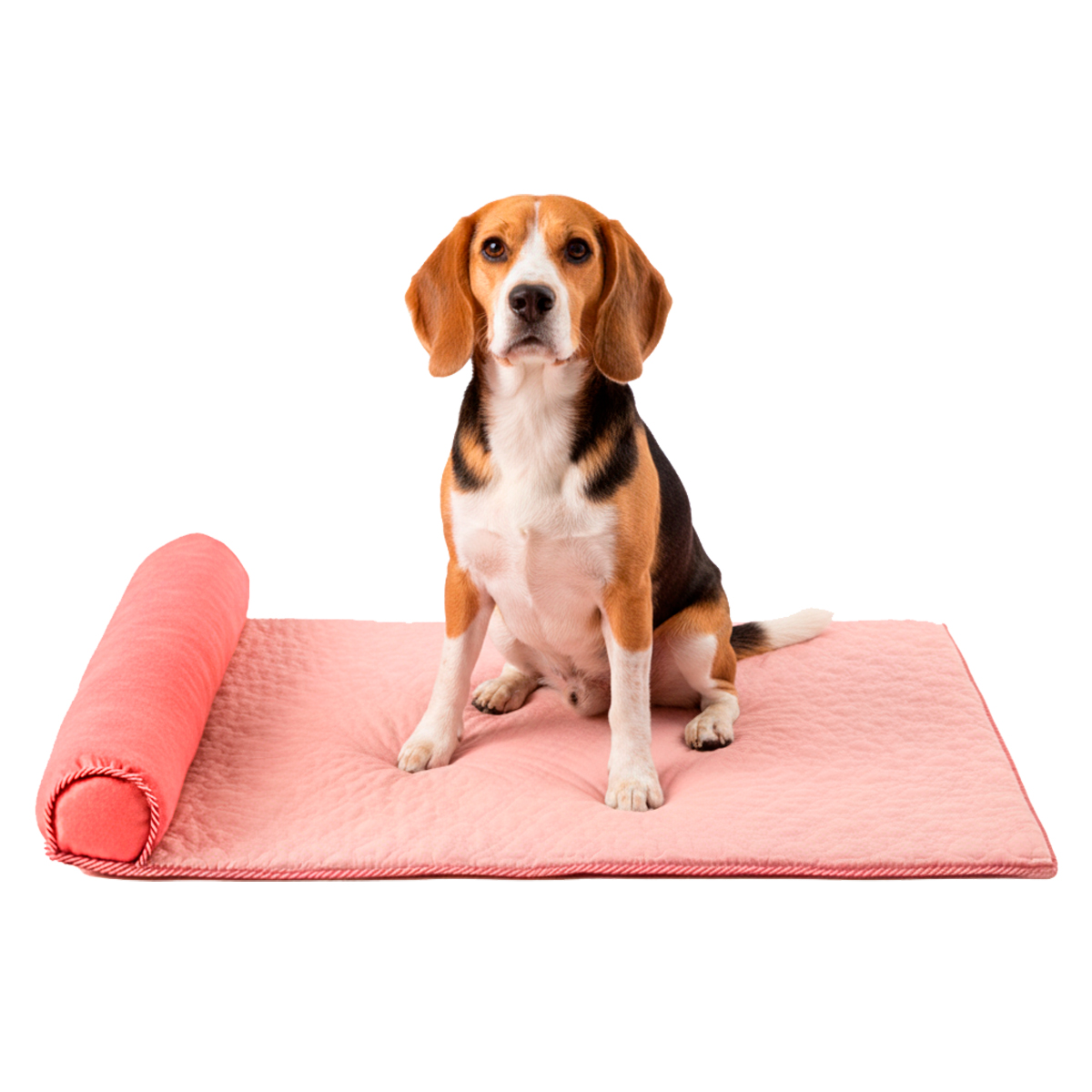 Cama Tapete Colchonete Refrescante Cães Gatos P 60x40 - Rosa — foto 7