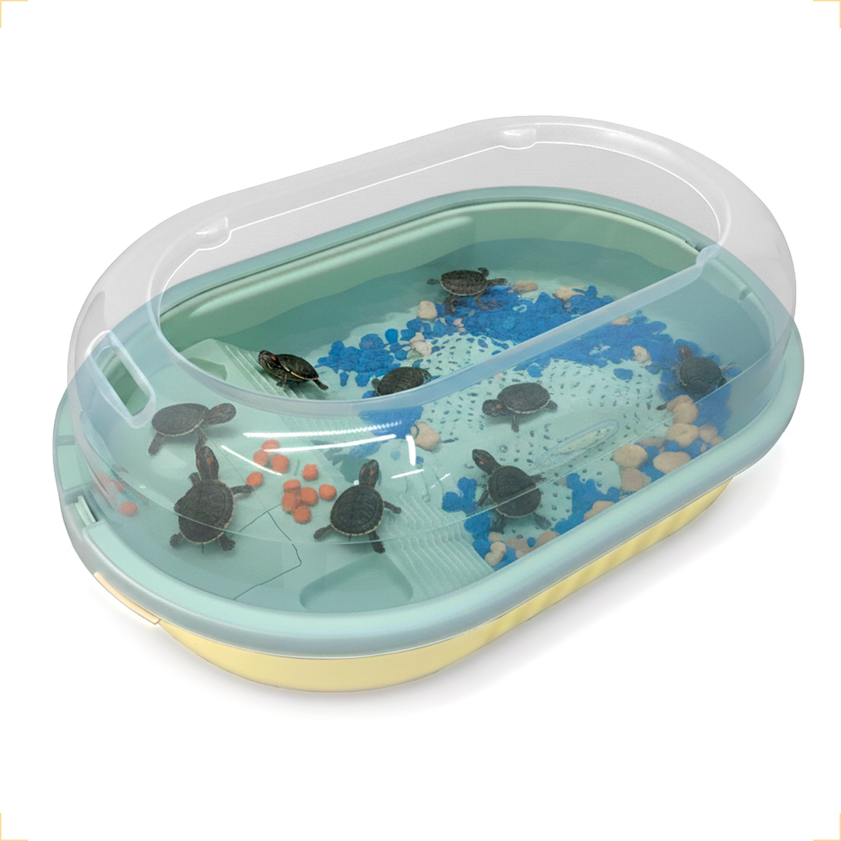 Terrario Aquario Habitat para Tartarugas 10L — foto 6