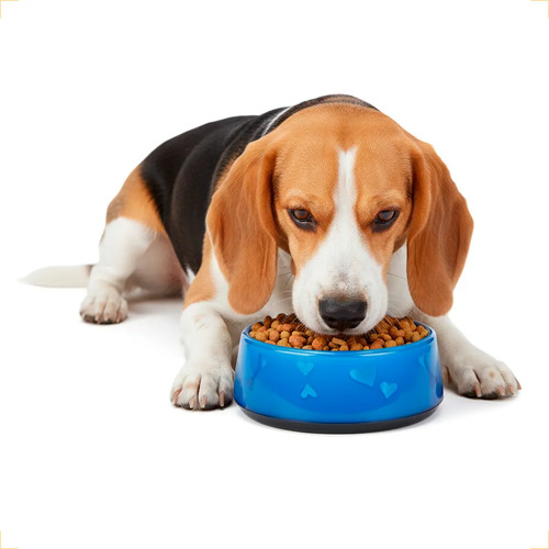 Comedouro Cachorro Pet Luxo  Antiderrapante AFP G 970ml - Azul — foto 6