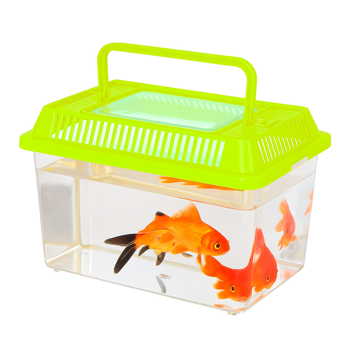 Aquário de Peixes Acrílico 1,2 litros pequeno - Amarelo
