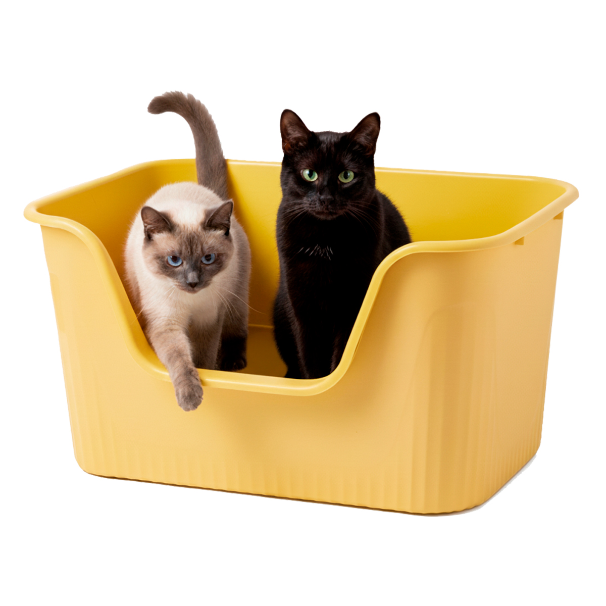 Caixa de Areia  Banheiro de Gato Grande 78x48x33 ANIMAUX - Amarelo — foto 7